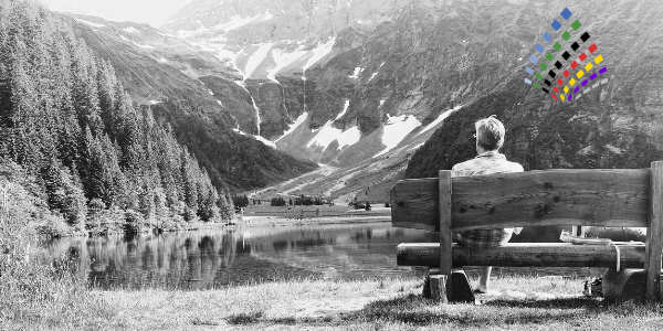 Die Vereinsgründung …