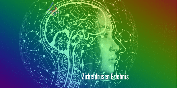 Schwerpunkt Zirbeldrüse …